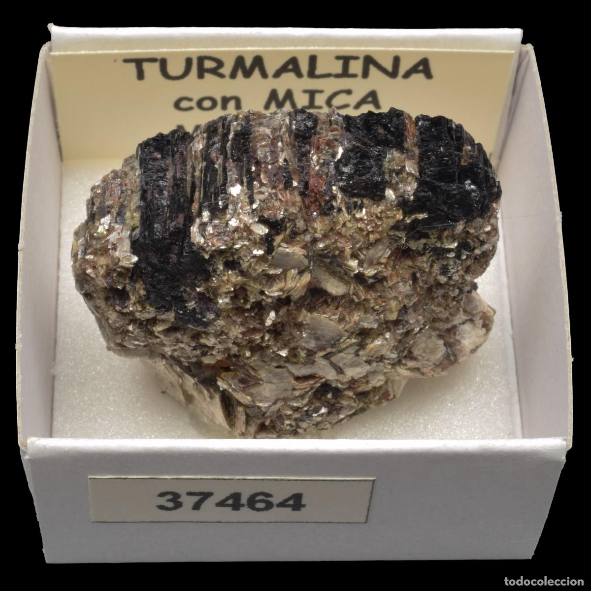 Coleccionismo de minerales: TURMALINA con mica (Madagascar) #37464