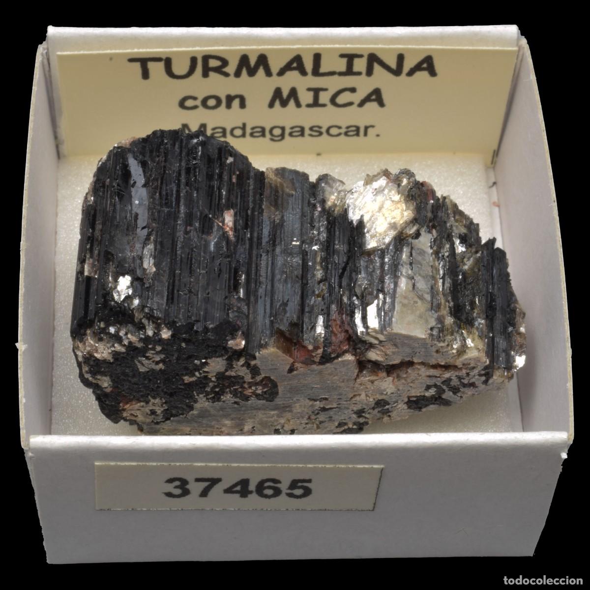Coleccionismo de minerales: TURMALINA con mica (Madagascar) #37465