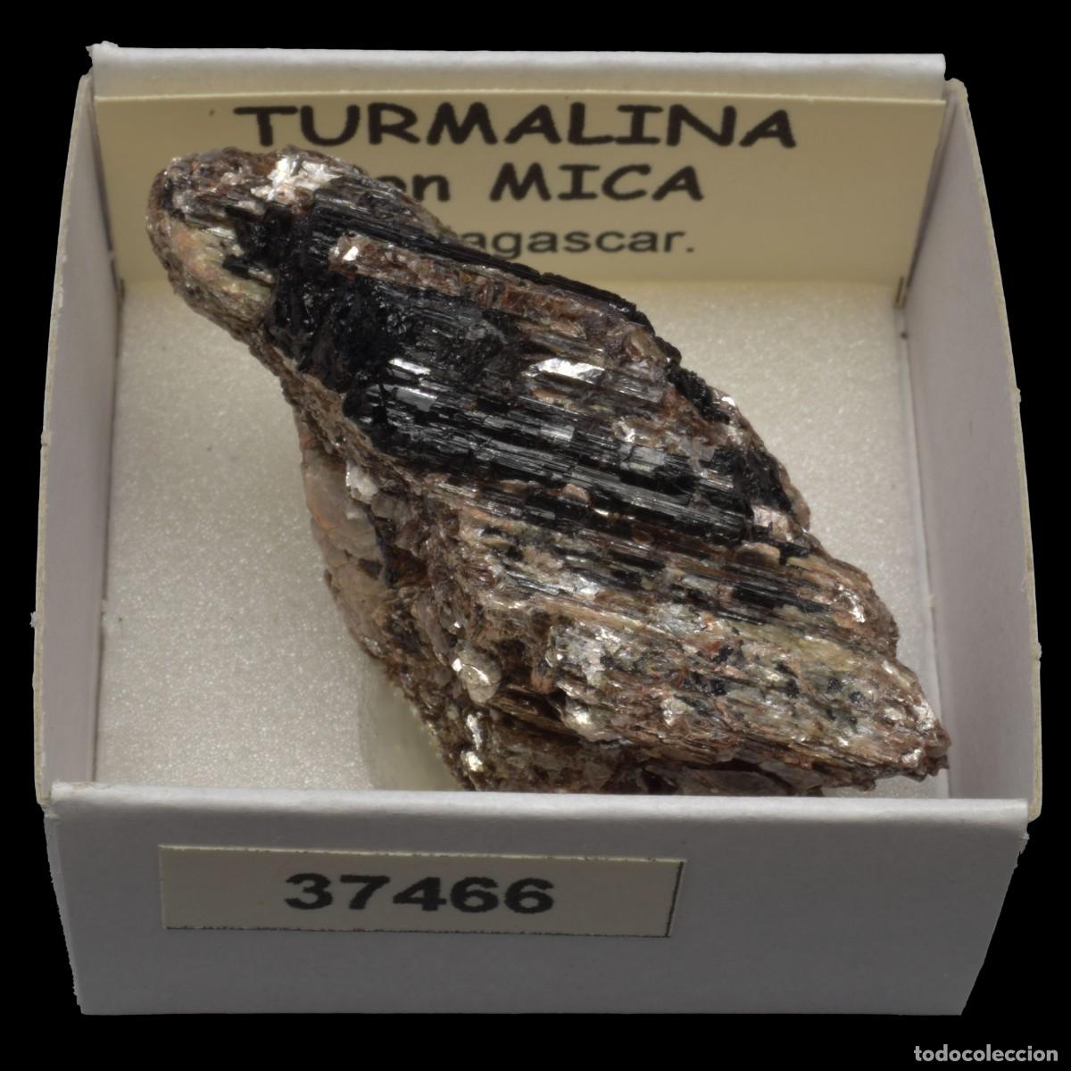 Coleccionismo de minerales: TURMALINA con mica (Madagascar) #37466