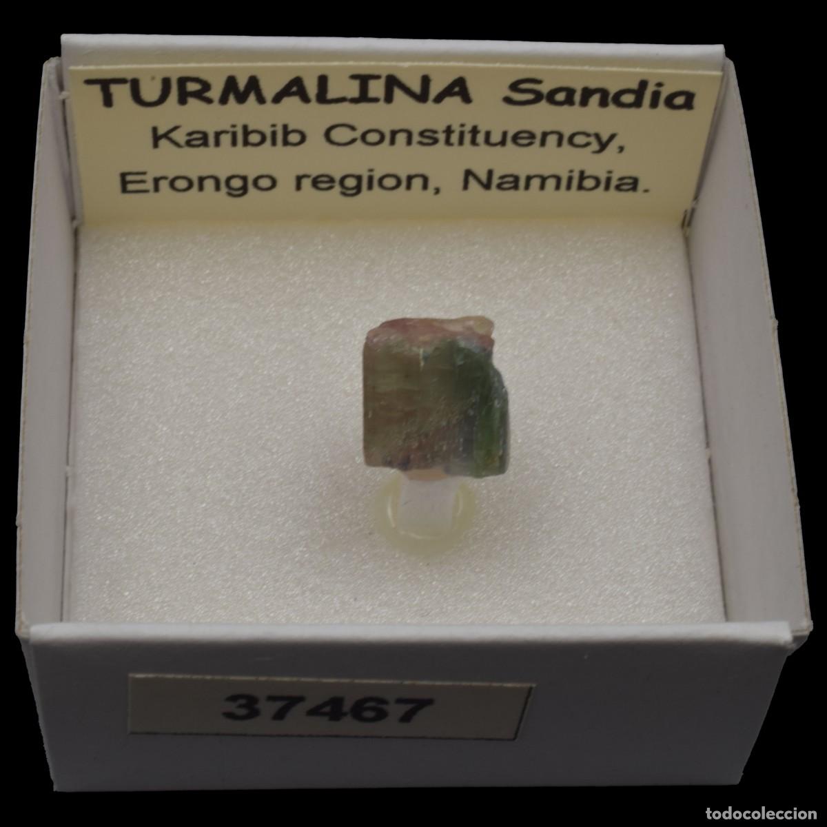 Coleccionismo de minerales: TURMALINA Sandia (Karibib constituency, Erongo region, Namibia) #37467