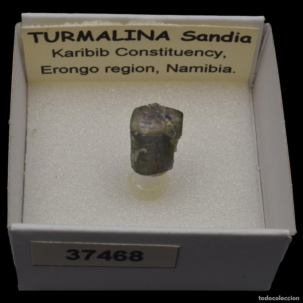 Coleccionismo de minerales: TURMALINA Sandia (Karibib constituency, Erongo region, Namibia) #37468