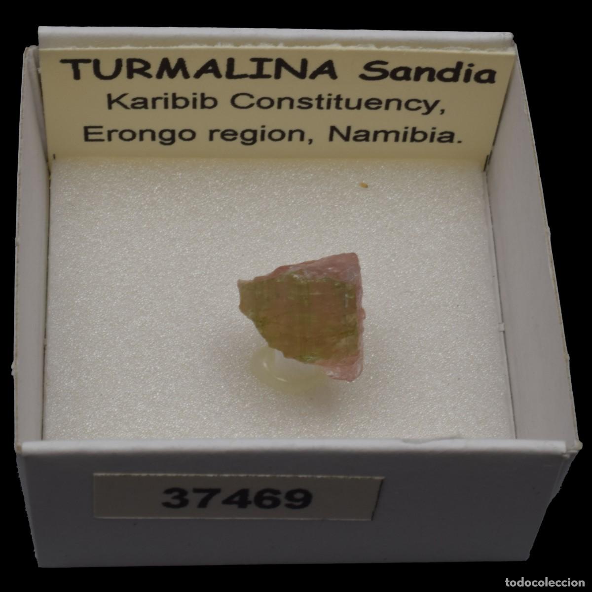 Coleccionismo de minerales: TURMALINA Sandia (Karibib constituency, Erongo region, Namibia) #37469
