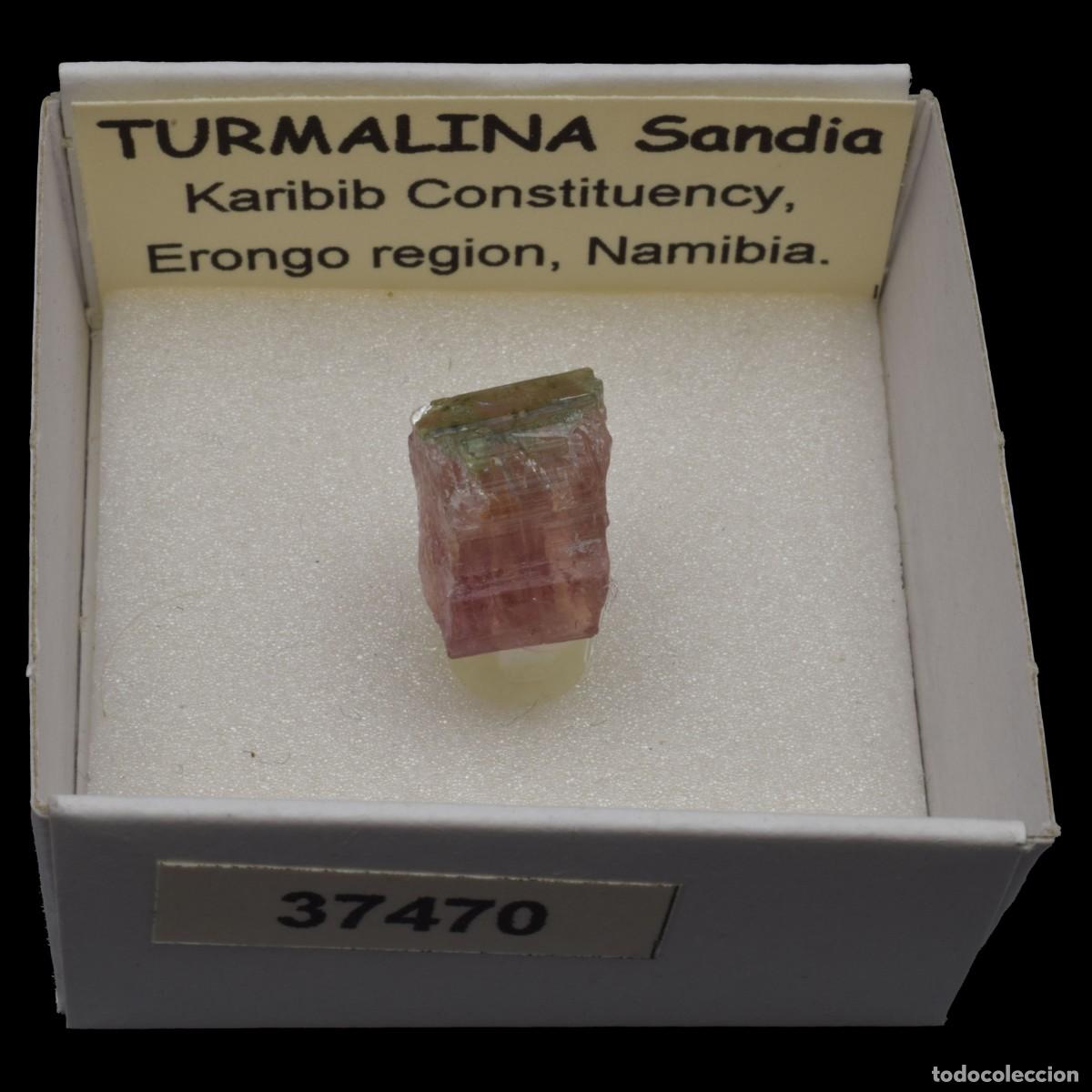 Coleccionismo de minerales: TURMALINA Sandia (Karibib constituency, Erongo region, Namibia) #37470