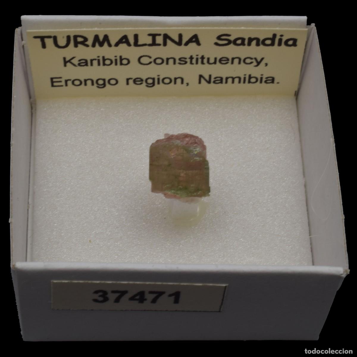 Coleccionismo de minerales: TURMALINA Sandia (Karibib constituency, Erongo region, Namibia) #37471