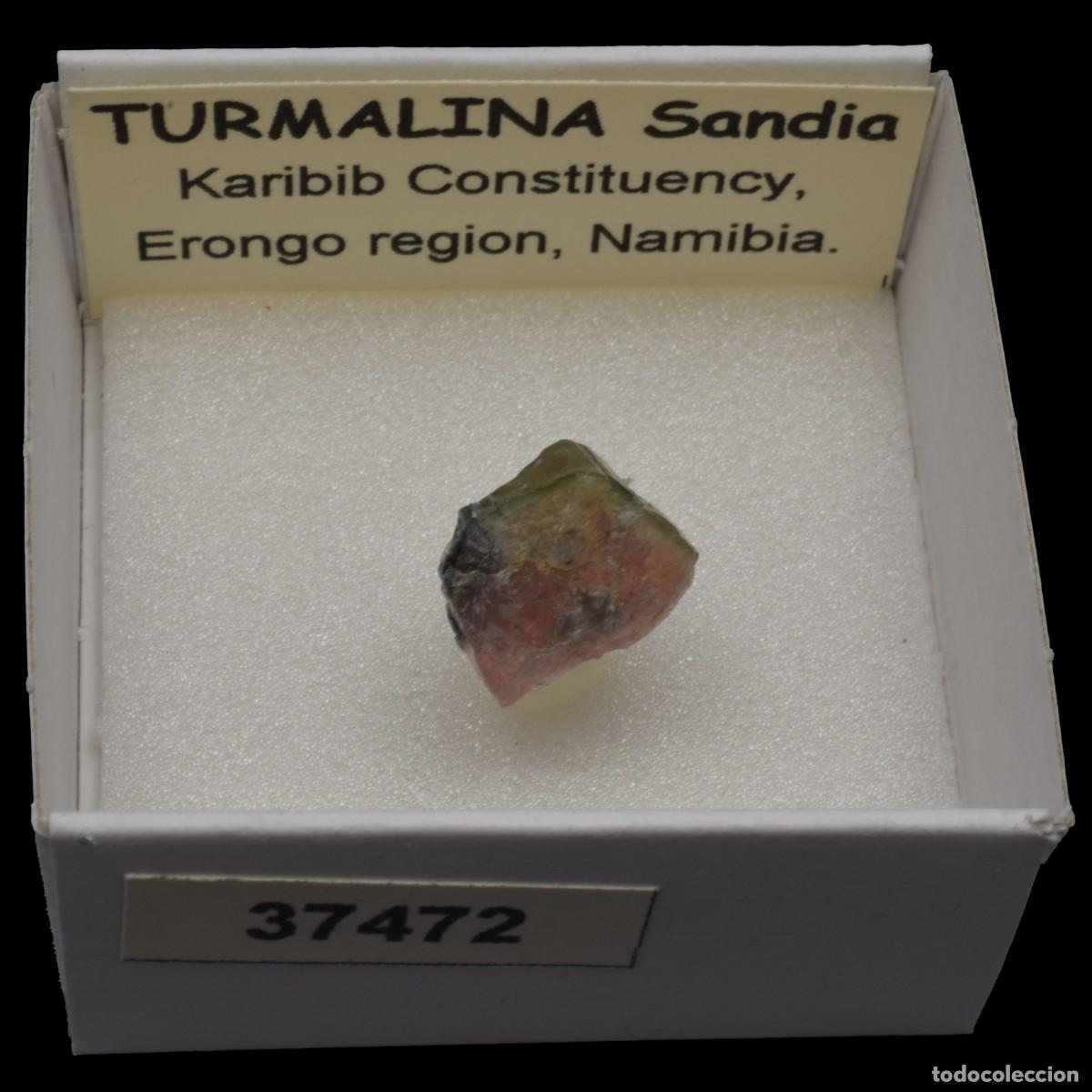 Coleccionismo de minerales: TURMALINA Sandia (Karibib constituency, Erongo region, Namibia) #37472