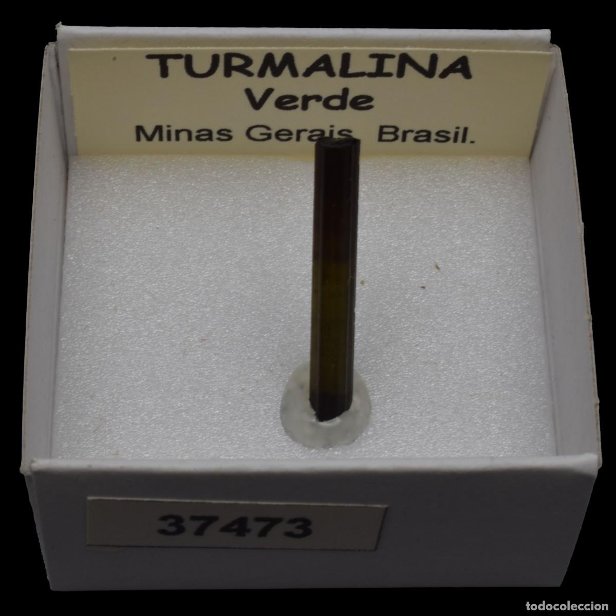 Coleccionismo de minerales: TURMALINA Verde (Minas Gerais, Brasil) #37473