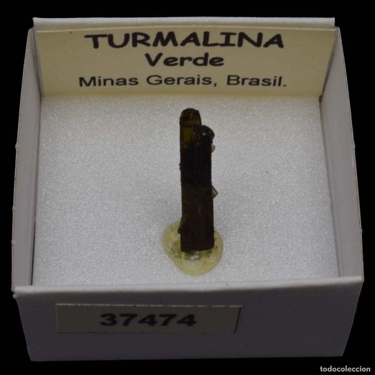 Coleccionismo de minerales: TURMALINA Verde (Minas Gerais, Brasil) #37474