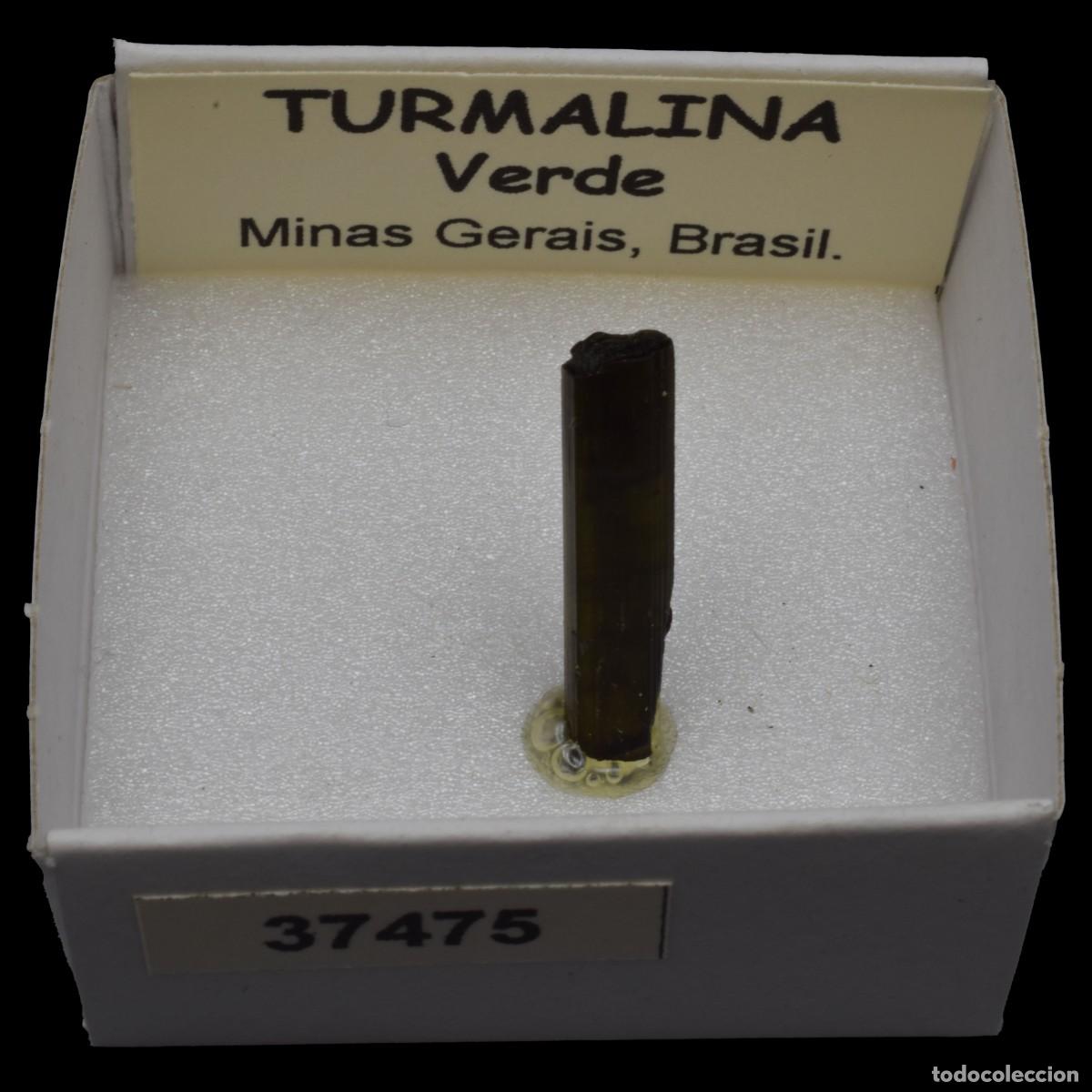 Coleccionismo de minerales: TURMALINA Verde (Minas Gerais, Brasil) #37475