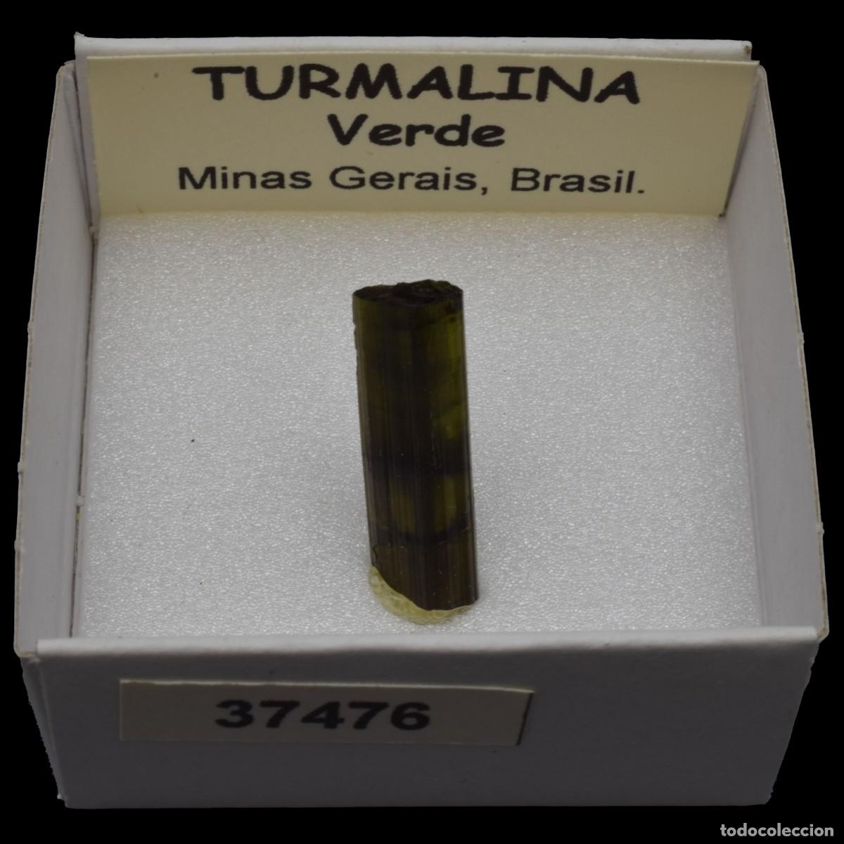 Coleccionismo de minerales: TURMALINA Verde (Minas Gerais, Brasil) #37476