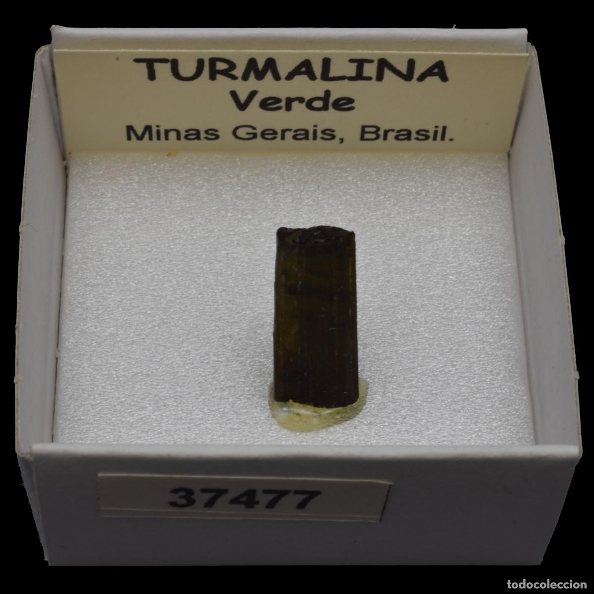 Coleccionismo de minerales: TURMALINA Verde (Minas Gerais, Brasil) #37477