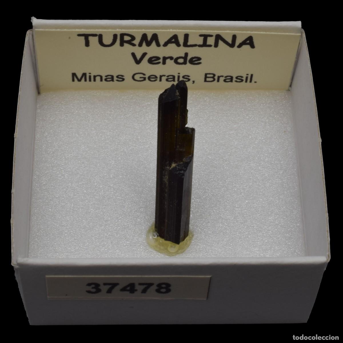 Coleccionismo de minerales: TURMALINA Verde (Minas Gerais, Brasil) #37478