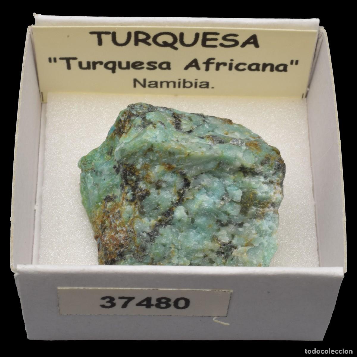 Coleccionismo de minerales: TURQUESA Africana (Namibia) #37480 - Foto 1