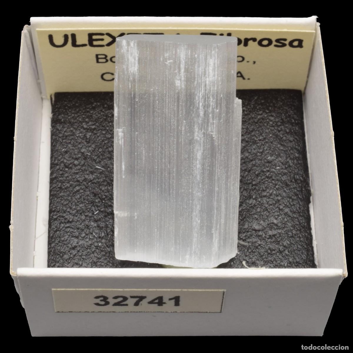 Coleccionismo de minerales: ULEXITA Fibrosa (Boron, Kern Co., California, USA) #32741