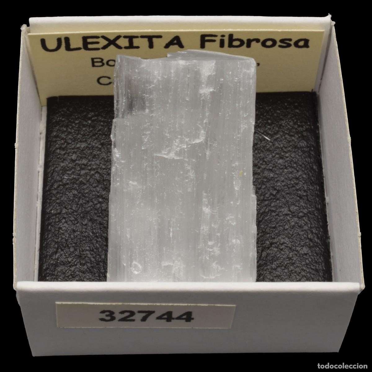 Coleccionismo de minerales: ULEXITA Fibrosa (Boron, Kern Co., California, USA) #32744