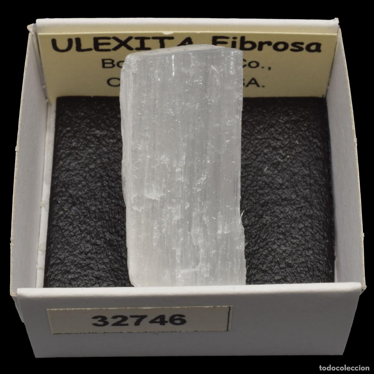 Coleccionismo de minerales: ULEXITA Fibrosa (Boron, Kern Co., California, USA) #32746