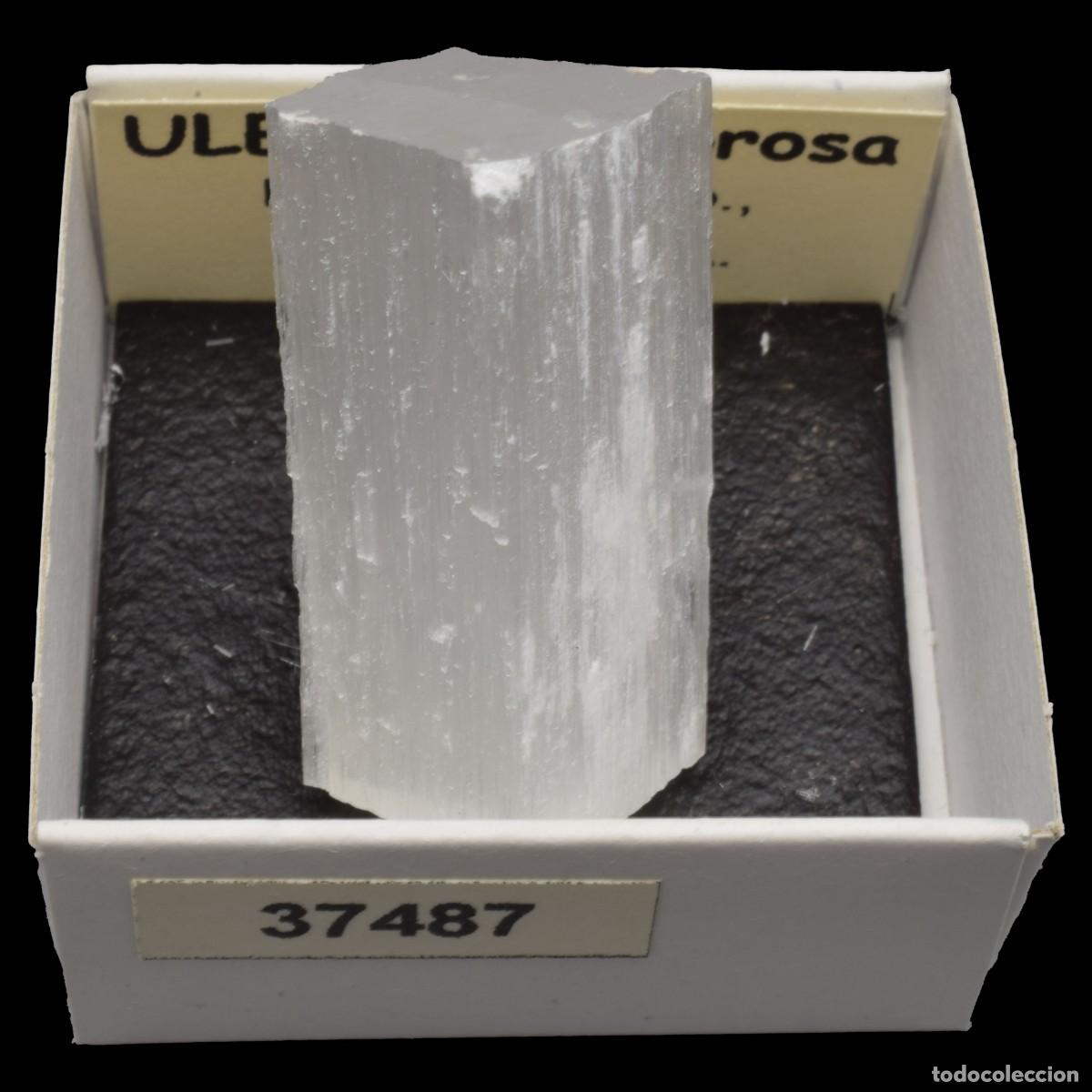 Coleccionismo de minerales: ULEXITA Fibrosa (Boron, Kern Co., California, USA) #37487