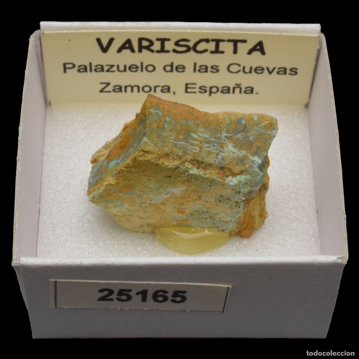 Coleccionismo de minerales: VARISCITA (Palazuelo de las Cuevas, Zamora, Espa&ntilde;a) #25165