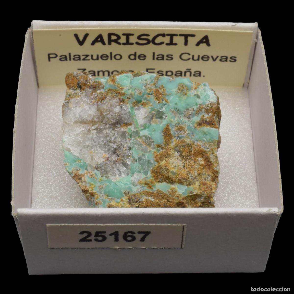 Coleccionismo de minerales: VARISCITA (Palazuelo de las Cuevas, Zamora, Espa&ntilde;a) #25167
