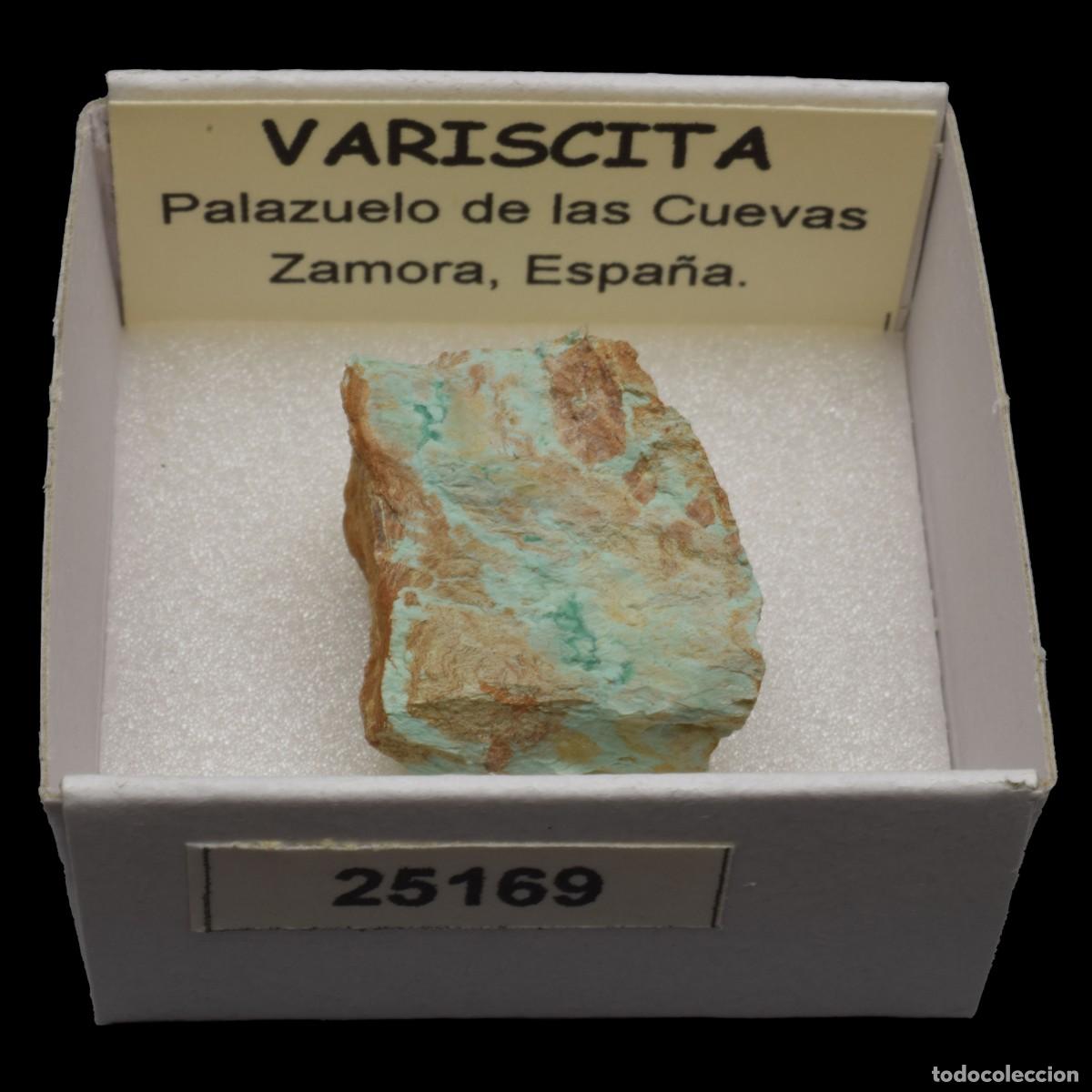 Coleccionismo de minerales: VARISCITA (Palazuelo de las Cuevas, Zamora, Espa&ntilde;a) #25169