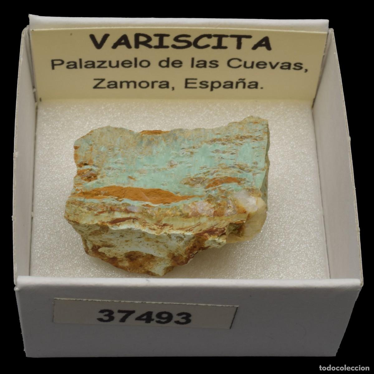 Coleccionismo de minerales: VARISCITA (Palazuelo de las Cuevas, Zamora, Espa&ntilde;a) #37493