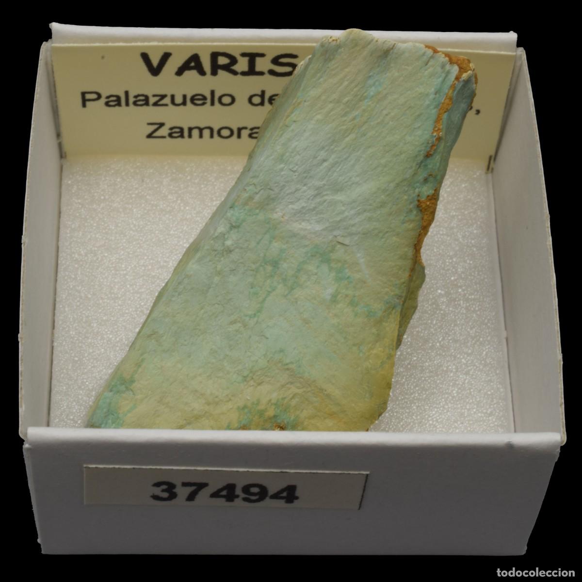 Coleccionismo de minerales: VARISCITA (Palazuelo de las Cuevas, Zamora, Espa&ntilde;a) #37494