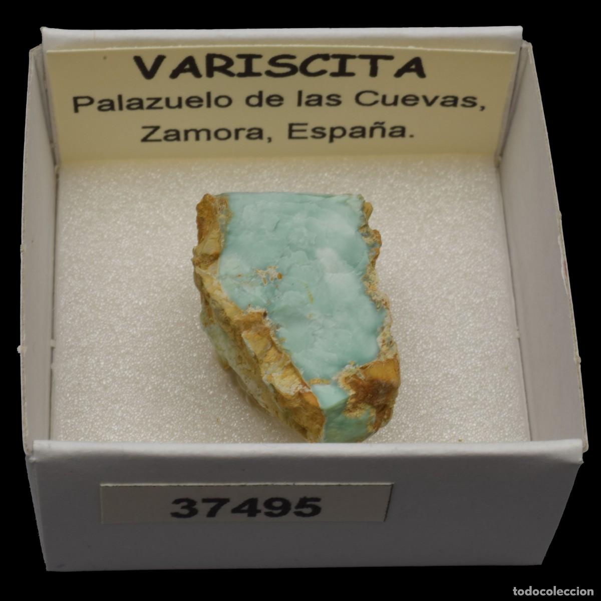 Coleccionismo de minerales: VARISCITA (Palazuelo de las Cuevas, Zamora, Espa&ntilde;a) #37495