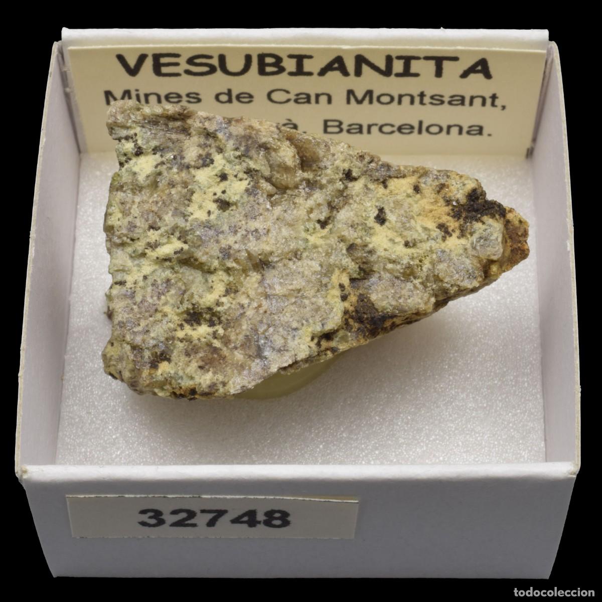 Coleccionismo de minerales: VESUBIANITA (Mines de Can Montsant, Hortsavinya, Barcelona, Espa&ntilde;a) #32748