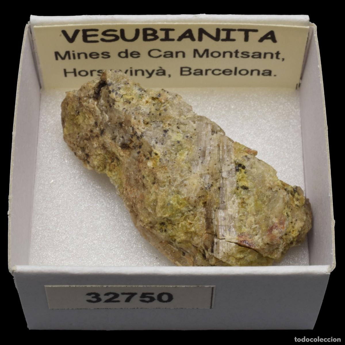Coleccionismo de minerales: VESUBIANITA (Mines de Can Montsant, Hortsavinya, Barcelona, Espa&ntilde;a) #32750