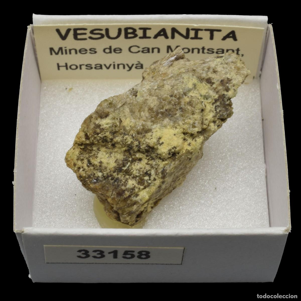 Coleccionismo de minerales: VESUBIANITA (Mines de Can Montsant, Hortsavinya, Barcelona, Espa&ntilde;a) #33158