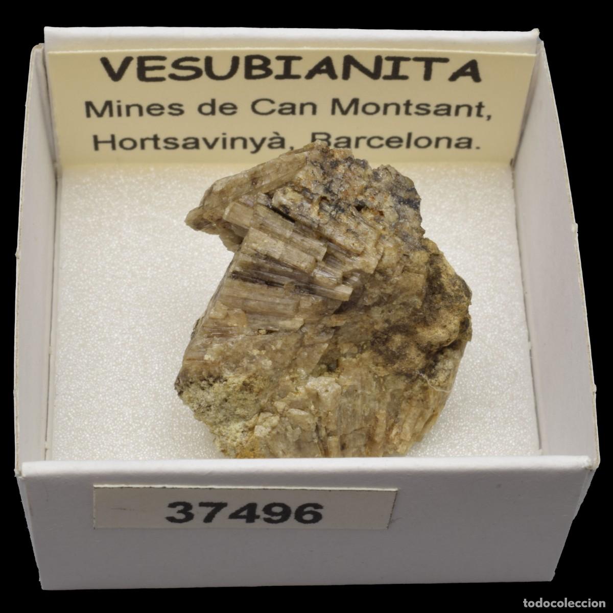 Coleccionismo de minerales: VESUBIANITA (Mines de Can Montsant, Hortsavinya, Barcelona, Espa&ntilde;a) #37496