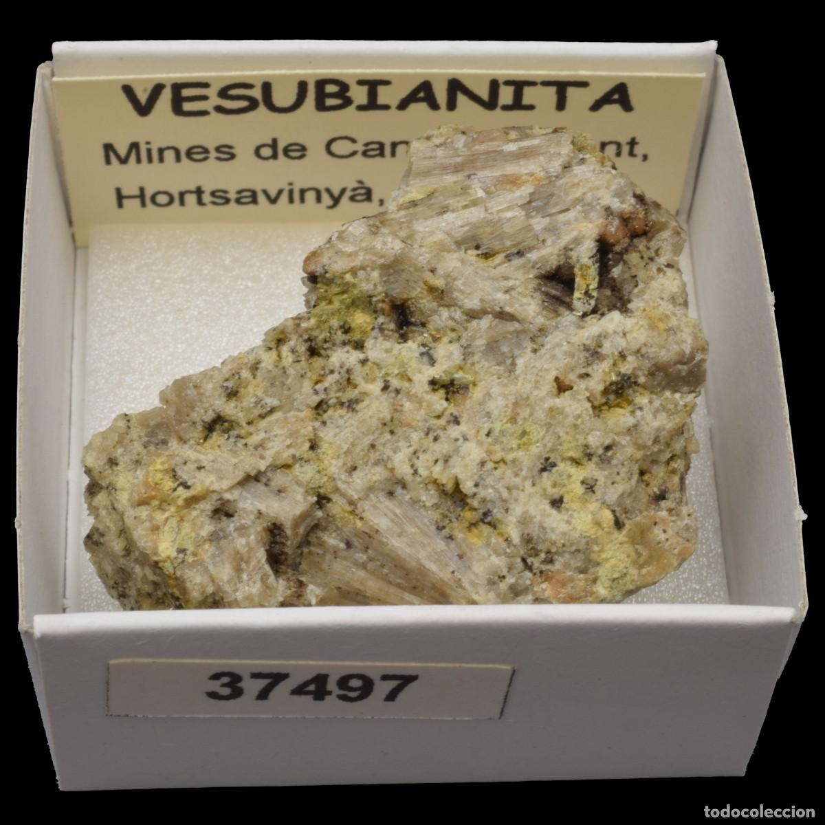 Coleccionismo de minerales: VESUBIANITA (Mines de Can Montsant, Hortsavinya, Barcelona, Espa&ntilde;a) #37497