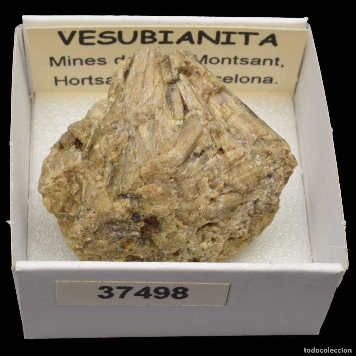Coleccionismo de minerales: VESUBIANITA (Mines de Can Montsant, Hortsavinya, Barcelona, Espa&ntilde;a) #37498