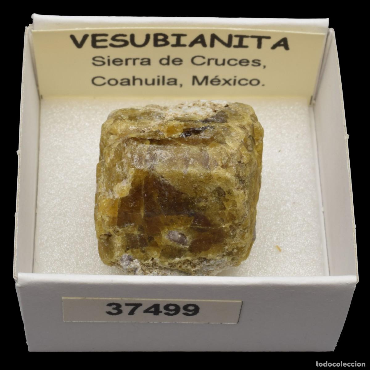 Mineral collecting: VESUBIANITA Cristal (Sierra de Cruces, Coahuila, Mexico) #37499
