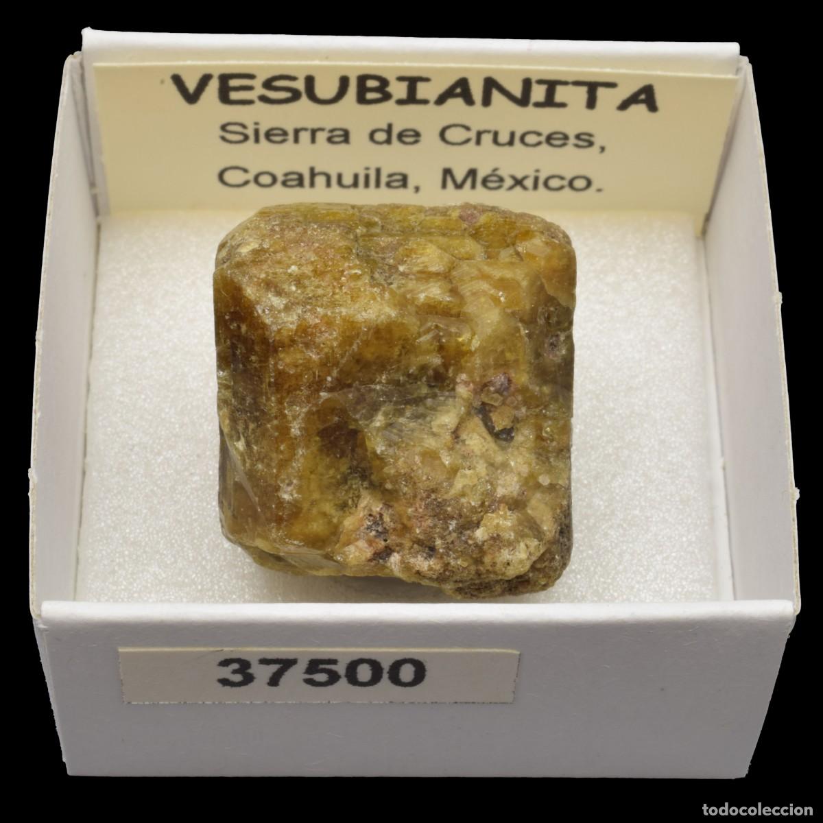 Mineral collecting: VESUBIANITA Cristal (Sierra de Cruces, Coahuila, Mexico) #37500