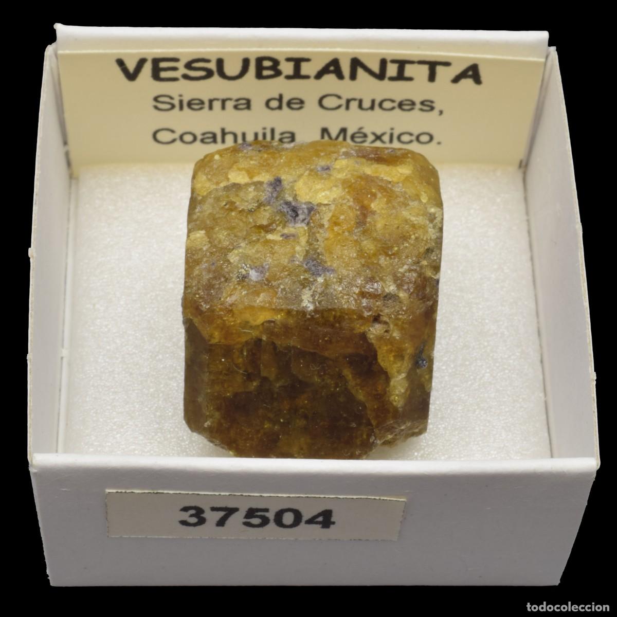 Mineral collecting: VESUBIANITA Cristal (Sierra de Cruces, Coahuila, Mexico) #37504