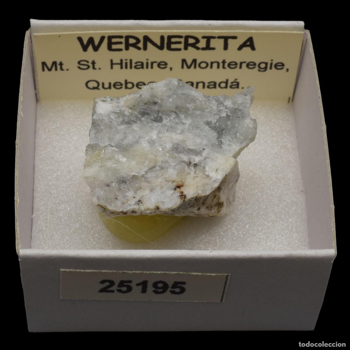 Collectionnisme de min&eacute;raux: WERNERITA (Mt. St. Hilaire, Monteregie, Quebec, Canada) #25195
