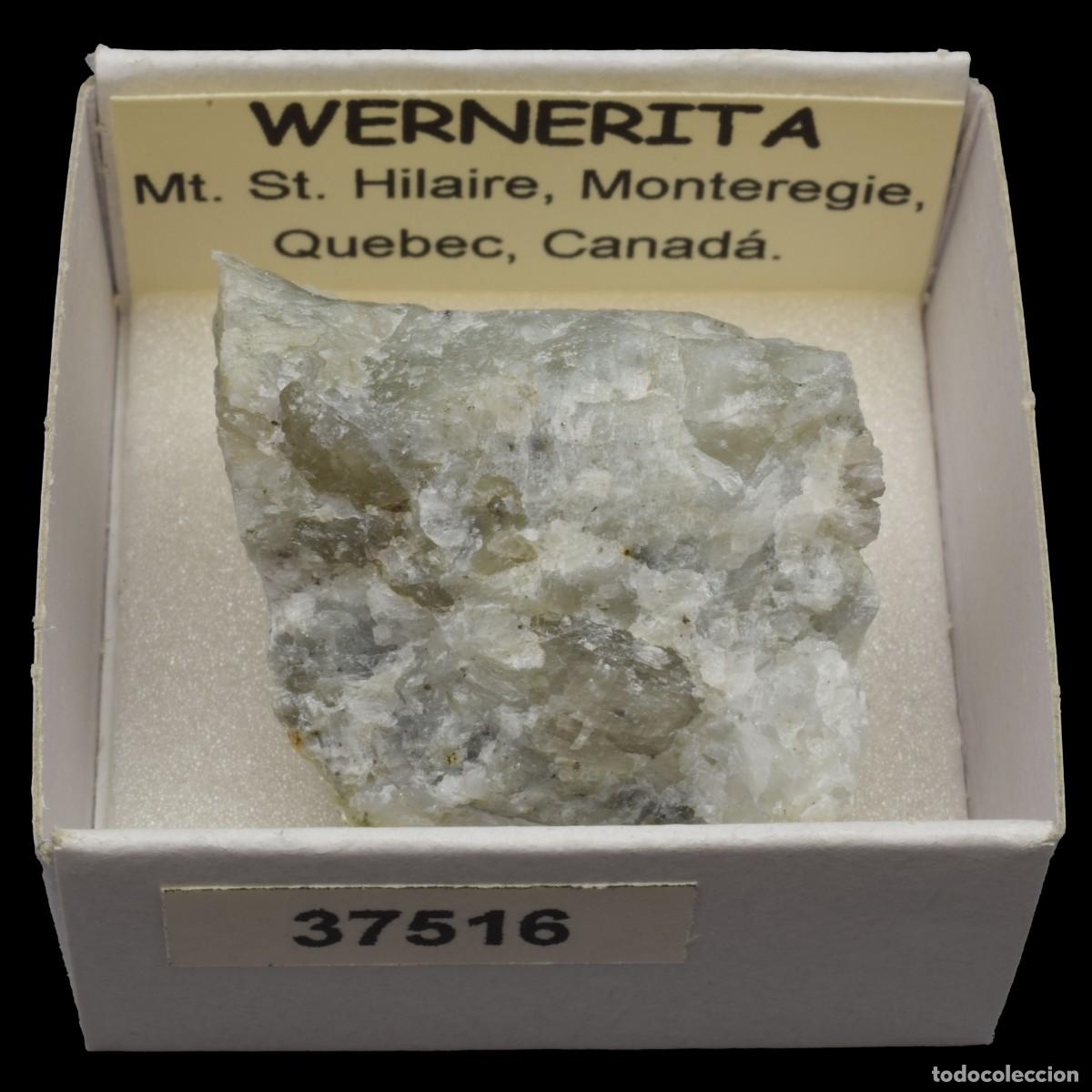 Coleccionismo de minerales: WERNERITA (Mt. St. Hilaire, Monteregie, Quebec, Canada) #37516