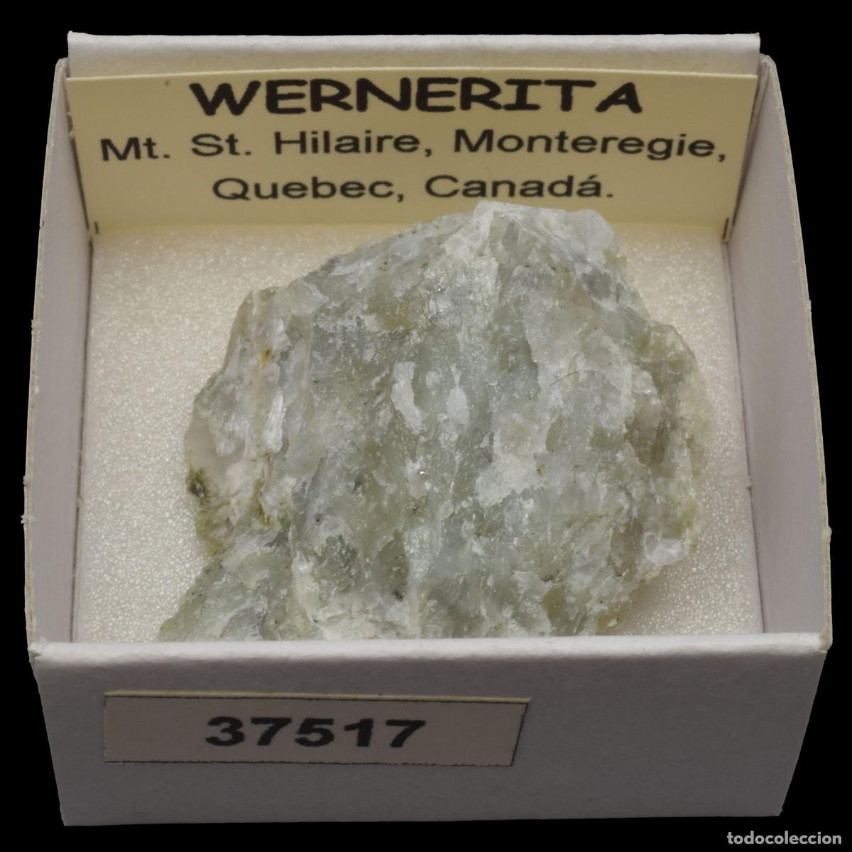 Collectionnisme de min&eacute;raux: WERNERITA (Mt. St. Hilaire, Monteregie, Quebec, Canada) #37517