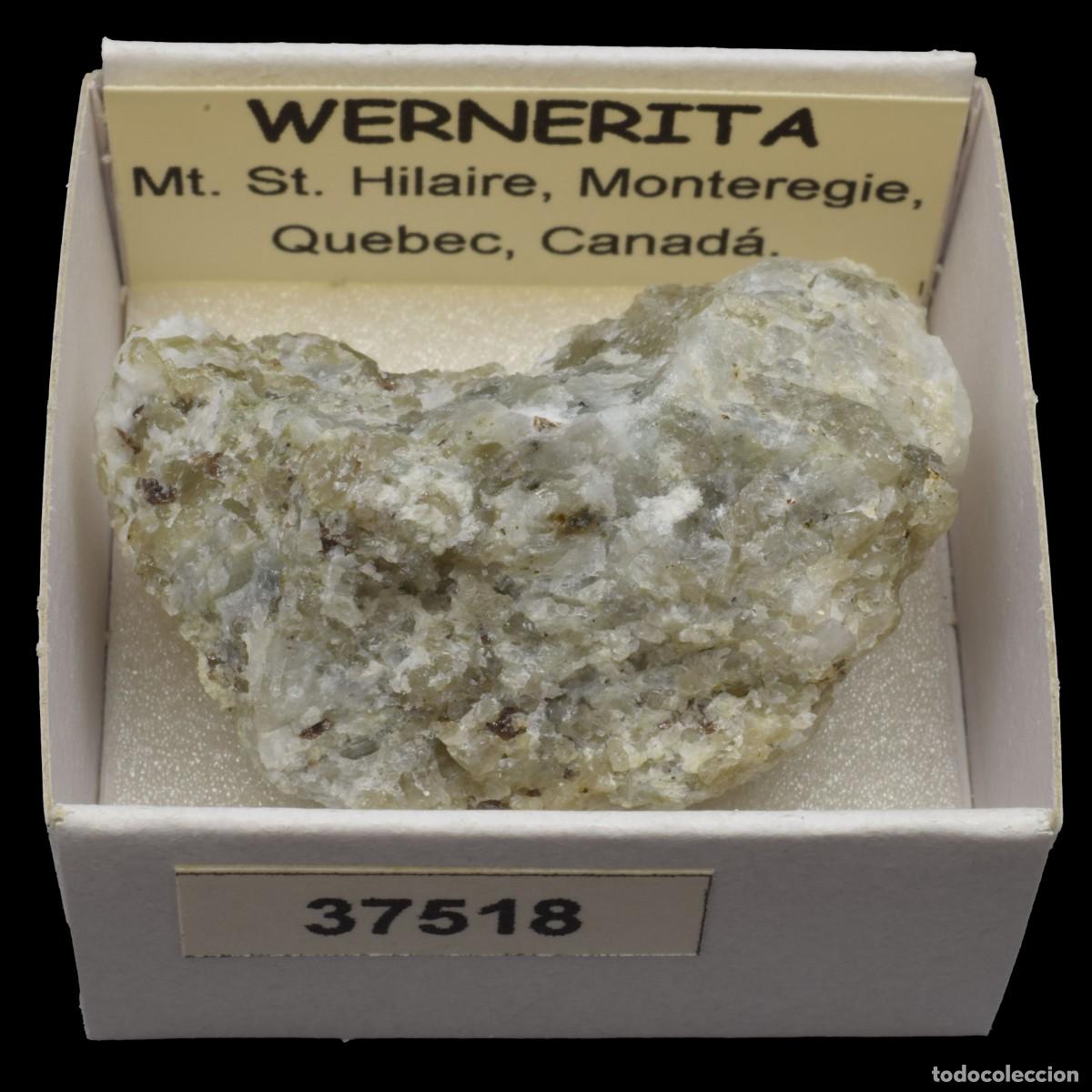 Collectionnisme de min&eacute;raux: WERNERITA (Mt. St. Hilaire, Monteregie, Quebec, Canada) #37518
