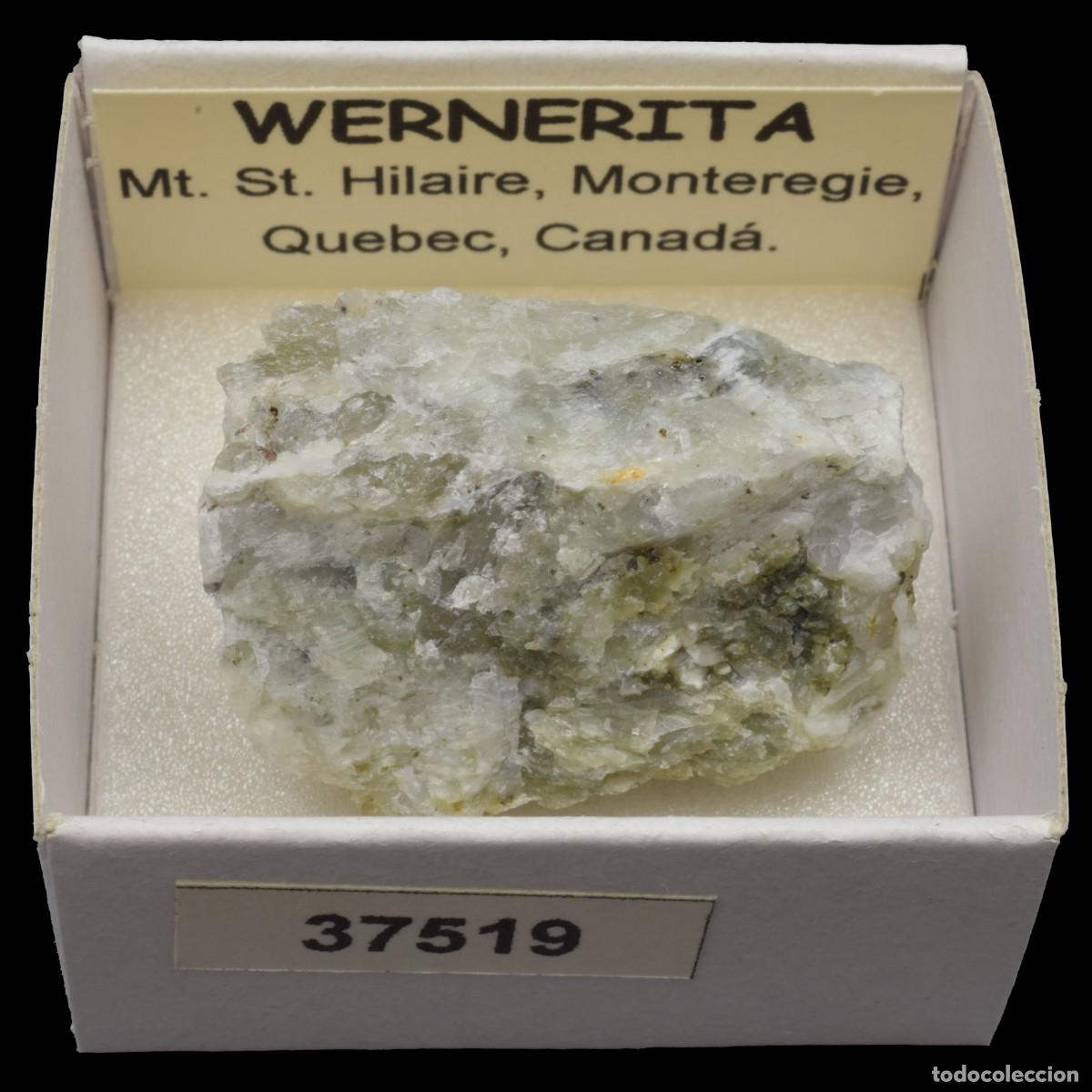 Collectionnisme de min&eacute;raux: WERNERITA (Mt. St. Hilaire, Monteregie, Quebec, Canada) #37519