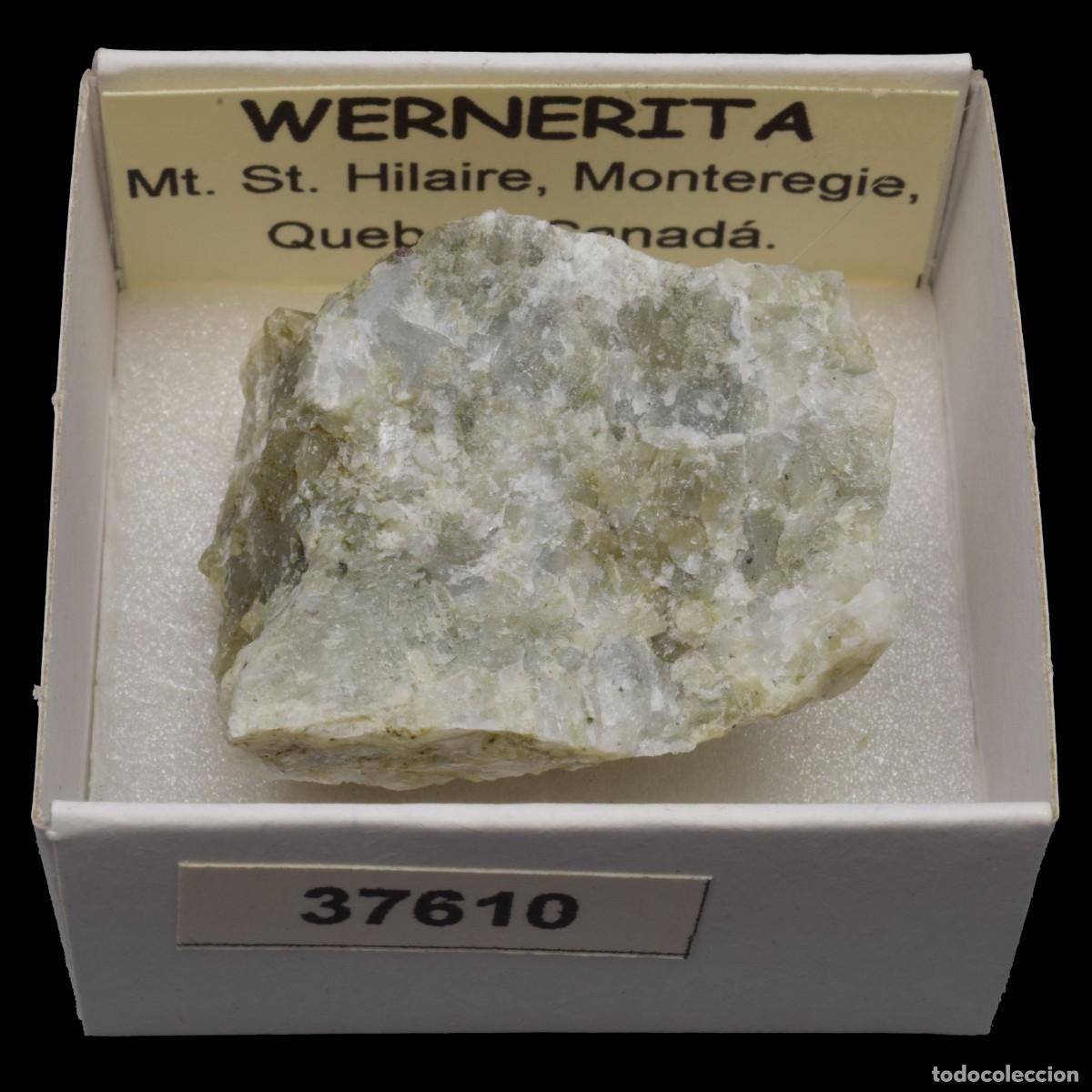 Collezionismo di minerali: WERNERITA (Mt. St. Hilaire, Monteregie, Quebec, Canada) #37610
