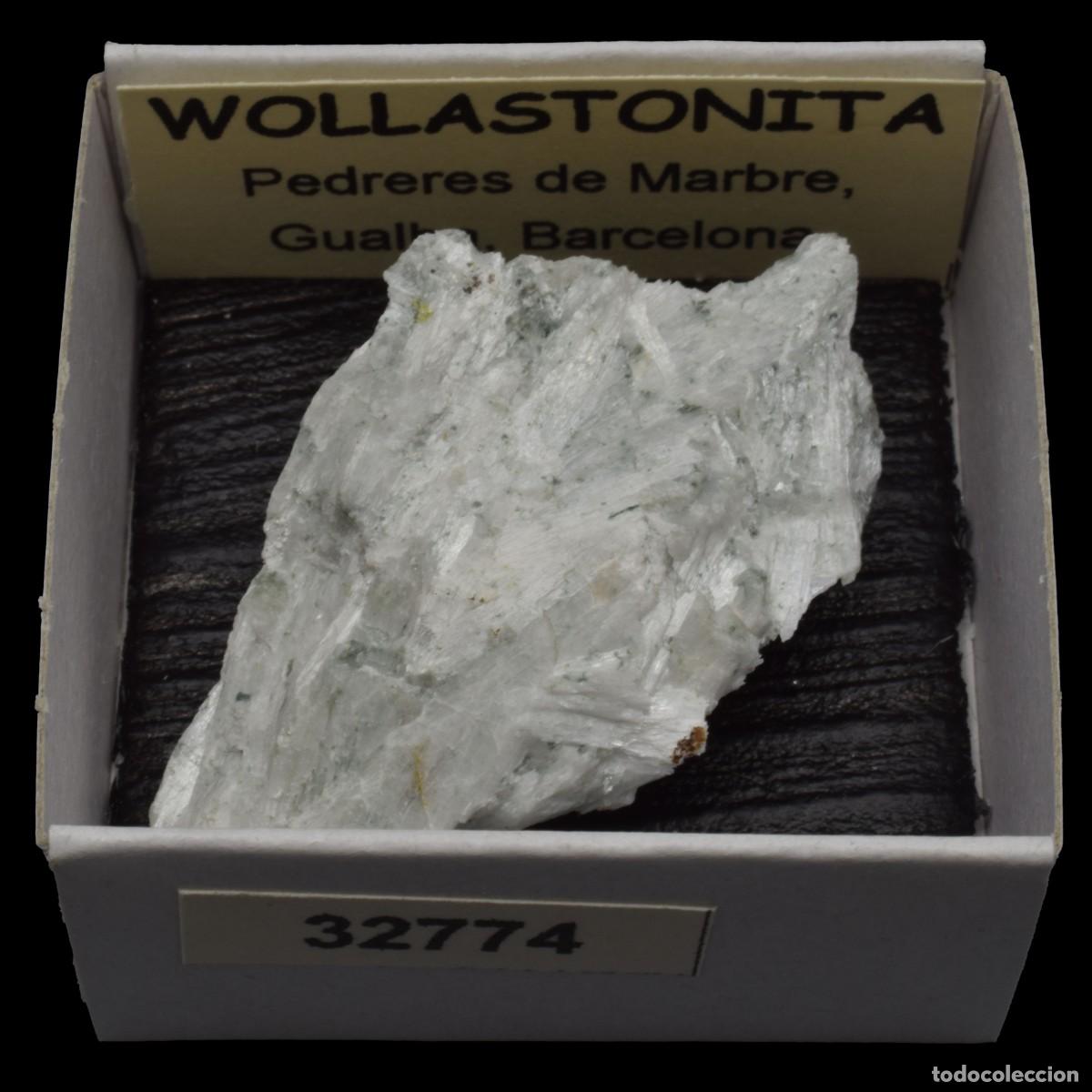 Coleccionismo de minerales: WOLLASTONITA (Pedreres de Marbre, Gualba, Barcelona, Espa&ntilde;a) #32774
