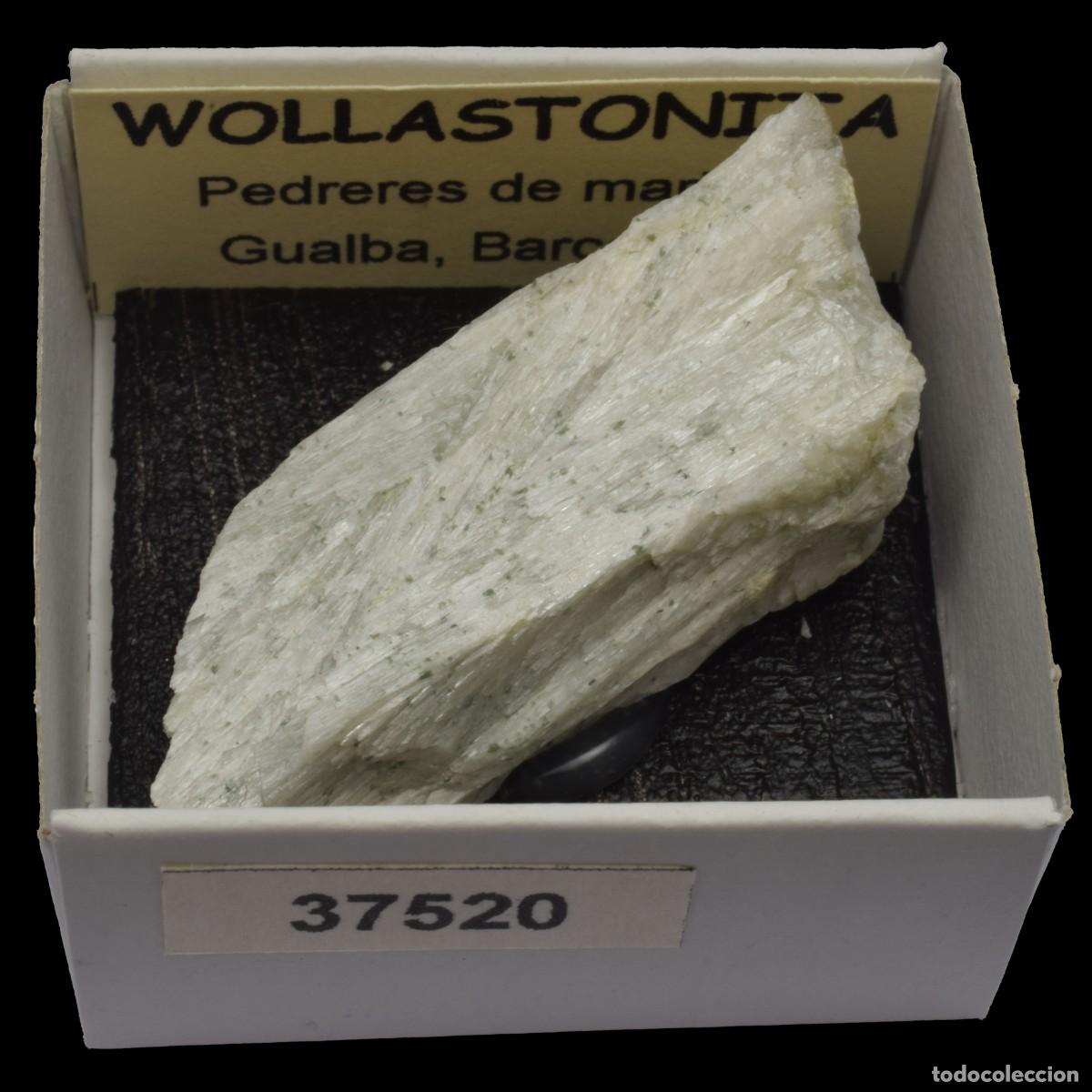 Coleccionismo de minerales: WOLLASTONITA (Pedreres de Marbre, Gualba, Barcelona, Espa&ntilde;a) #37520