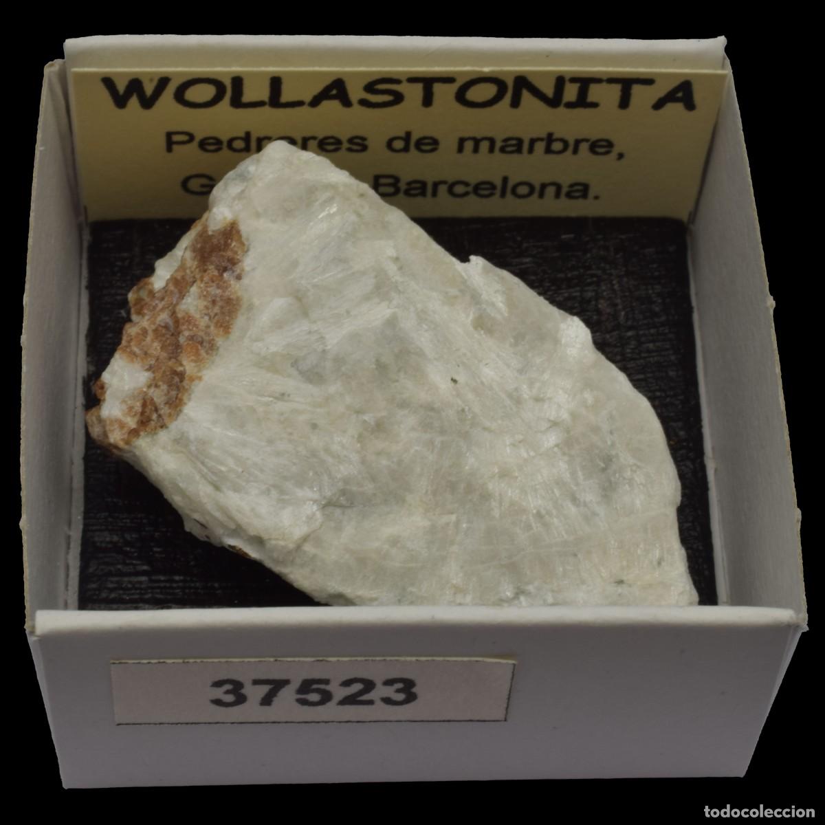 Coleccionismo de minerales: WOLLASTONITA (Pedreres de Marbre, Gualba, Barcelona, Espa&ntilde;a) #37523