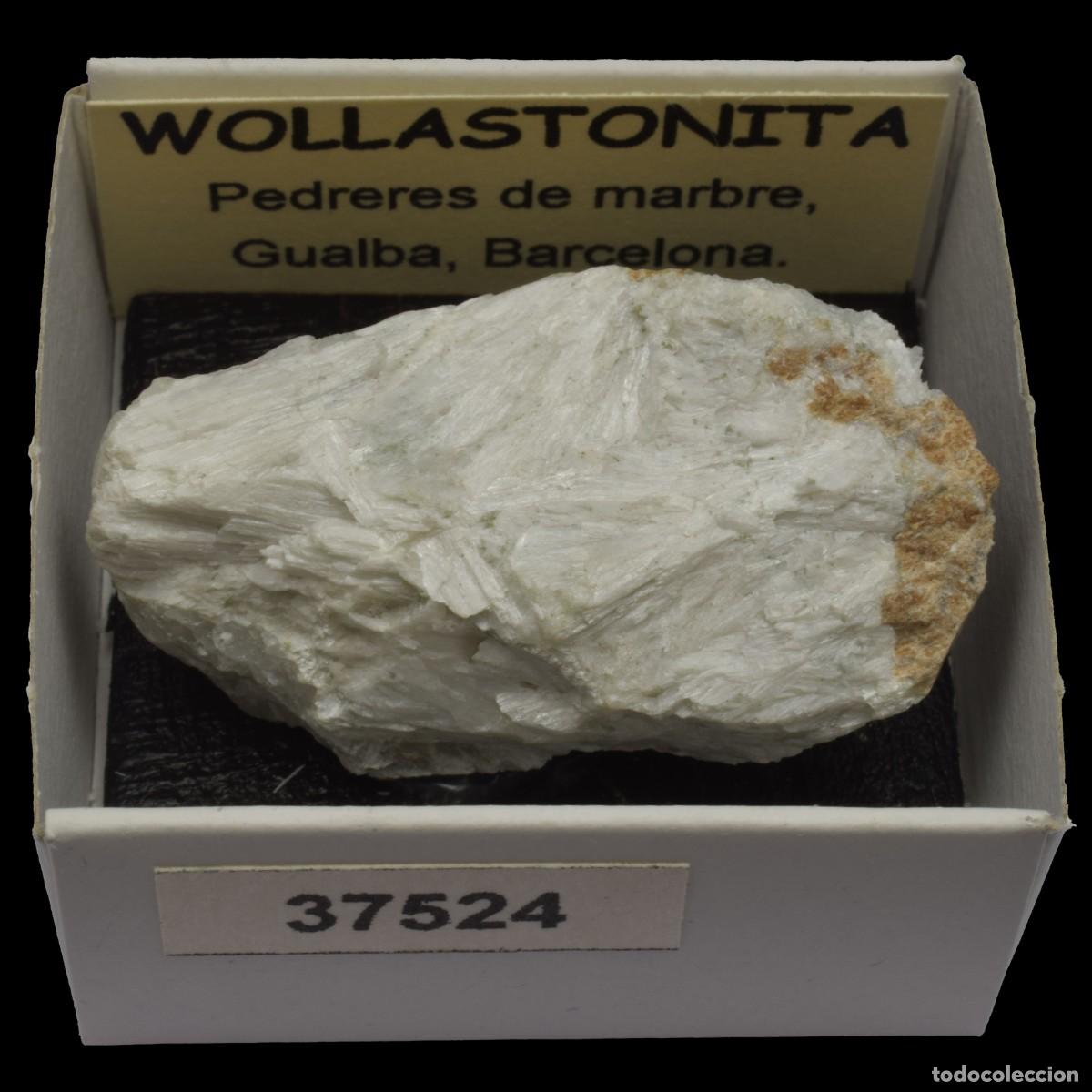 Coleccionismo de minerales: WOLLASTONITA (Pedreres de Marbre, Gualba, Barcelona, Espa&ntilde;a) #37524