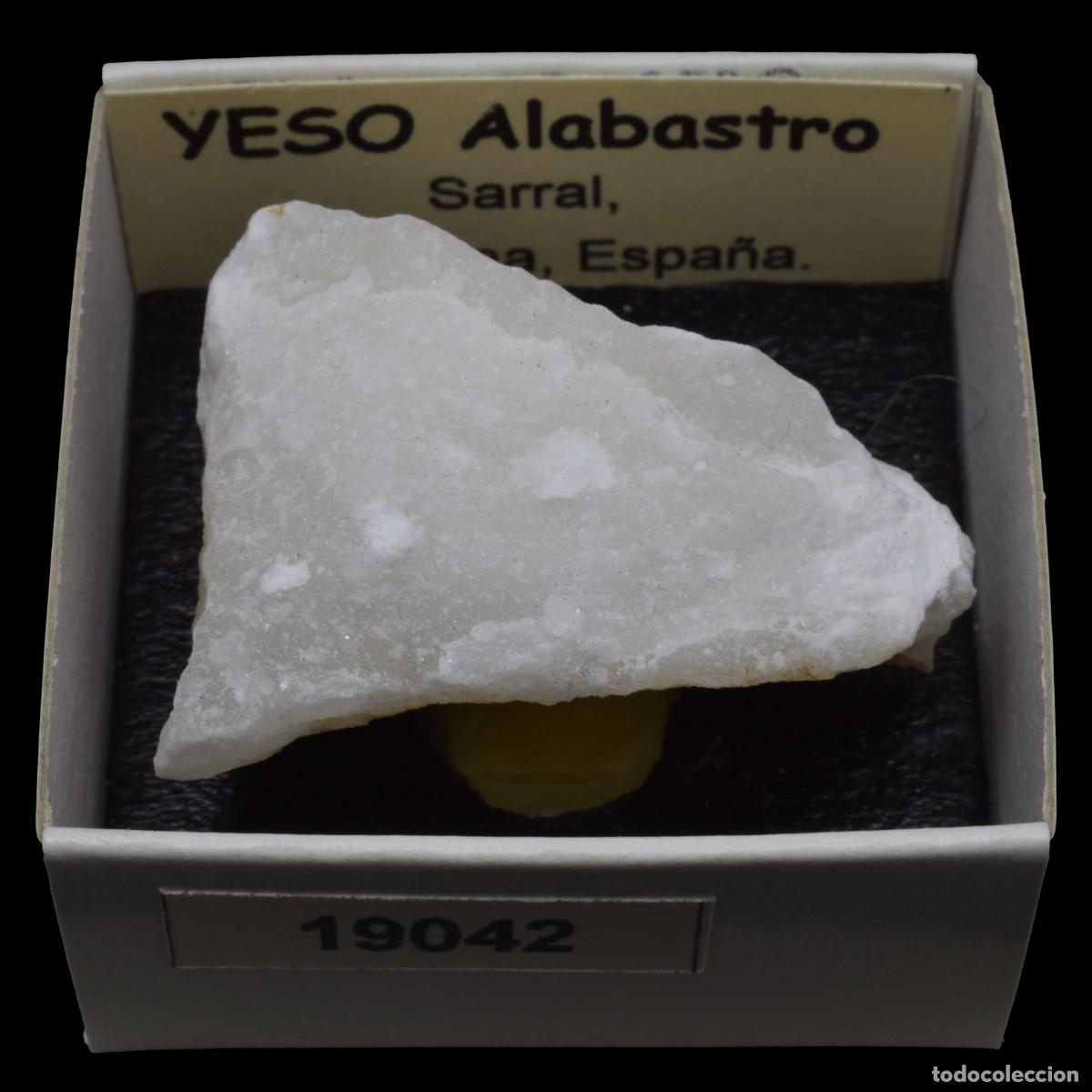 Coleccionismo de minerales: YESO Alabastro (Sarral, Tarragona, Espa&ntilde;a) #19042