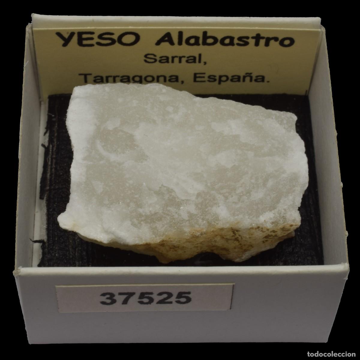 Coleccionismo de minerales: YESO Alabastro (Sarral, Tarragona, Espa&ntilde;a) #37525