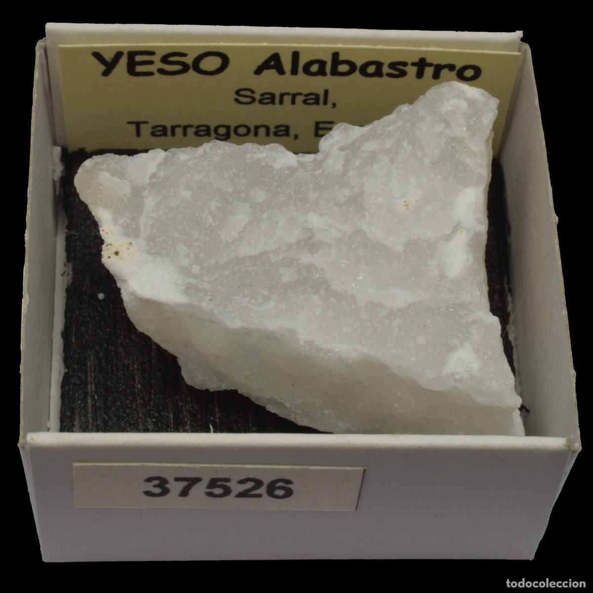 Coleccionismo de minerales: YESO Alabastro (Sarral, Tarragona, Espa&ntilde;a) #37526