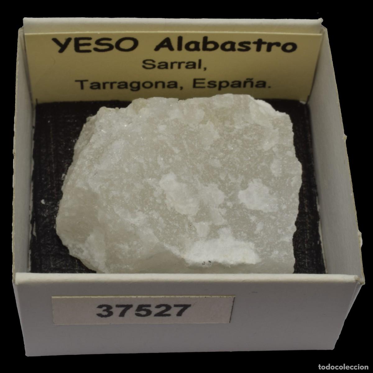 Coleccionismo de minerales: YESO Alabastro (Sarral, Tarragona, Espa&ntilde;a) #37527