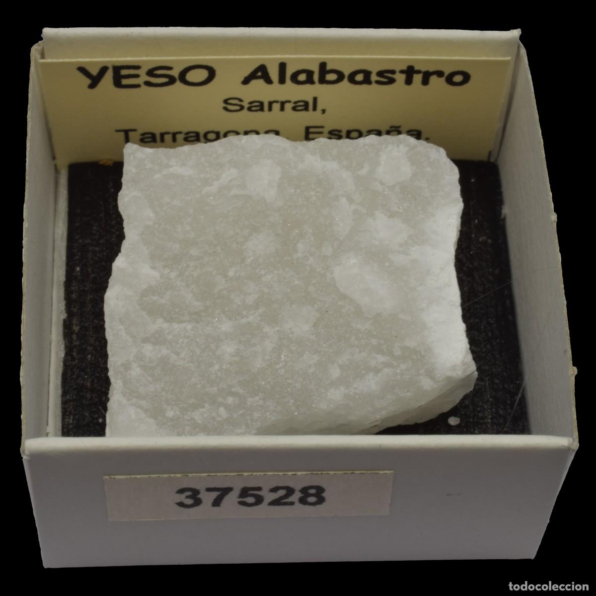 Coleccionismo de minerales: YESO Alabastro (Sarral, Tarragona, Espa&ntilde;a) #37528